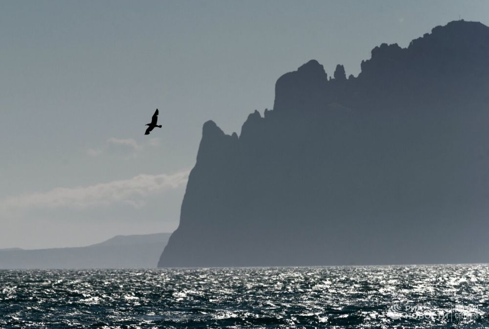 � ����� ������� ����� ���������� ������ ������ �����������