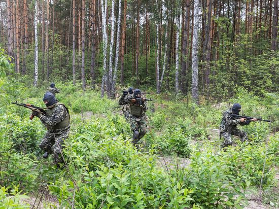 ���������� ��������� ������� ������ � ���: ���� ���� ����������� ����