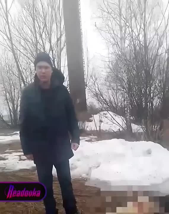 «У моей собаки перебиты лапы! Она лежит сдыхает» — мужчина расстрелял соседских собак в Московской области