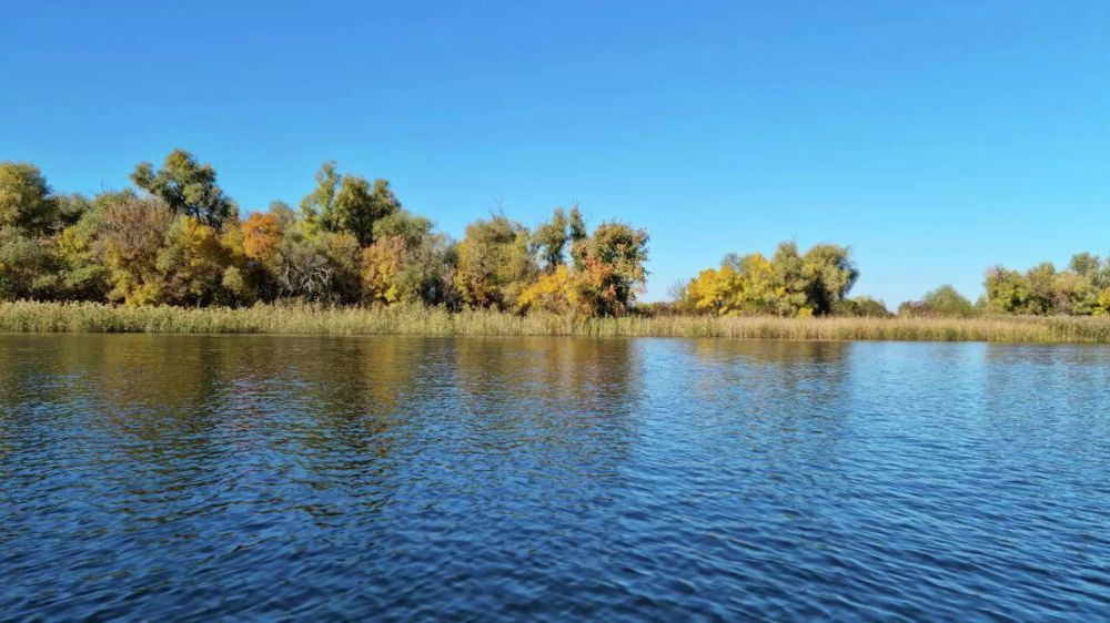 ������ ������ ����������� ������������ ������ ���