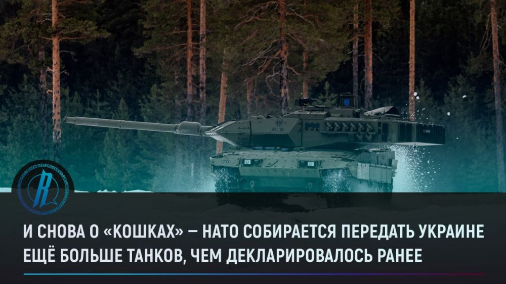 � ����� � �������� � ���� ���������� �������� ������� ��� ������ ������, ��� ��������������� �����