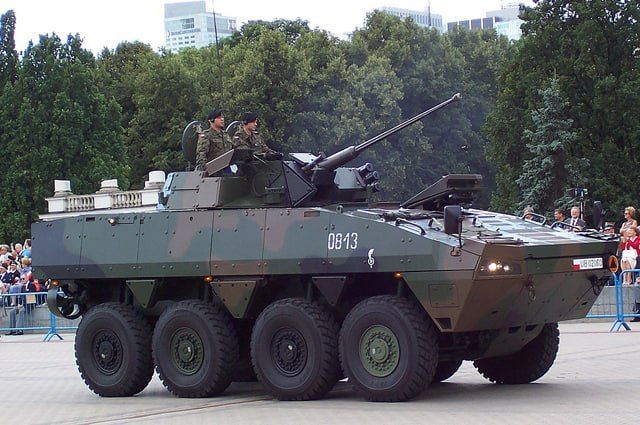 ���� �������: �������-������� ������ ����������: ���� ������� � ������� 100 ������������������ Rosomak