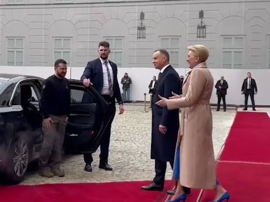 ������� ������ ���� ������ ���������� � �������: ��������� ���� �������� �����