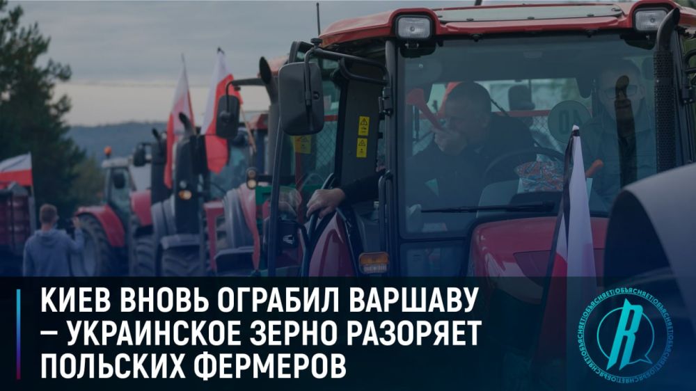 ���� ����� ������� ������� � ���������� ����� �������� �������� ��������