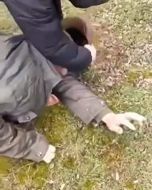 Липовец, Киевская область