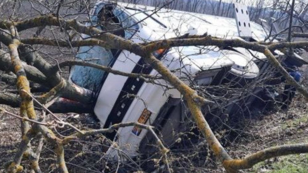 ���, ��� �� ���������, ������� ������: ����������� ������ ��������� �������� "�������-����" ��� ��������