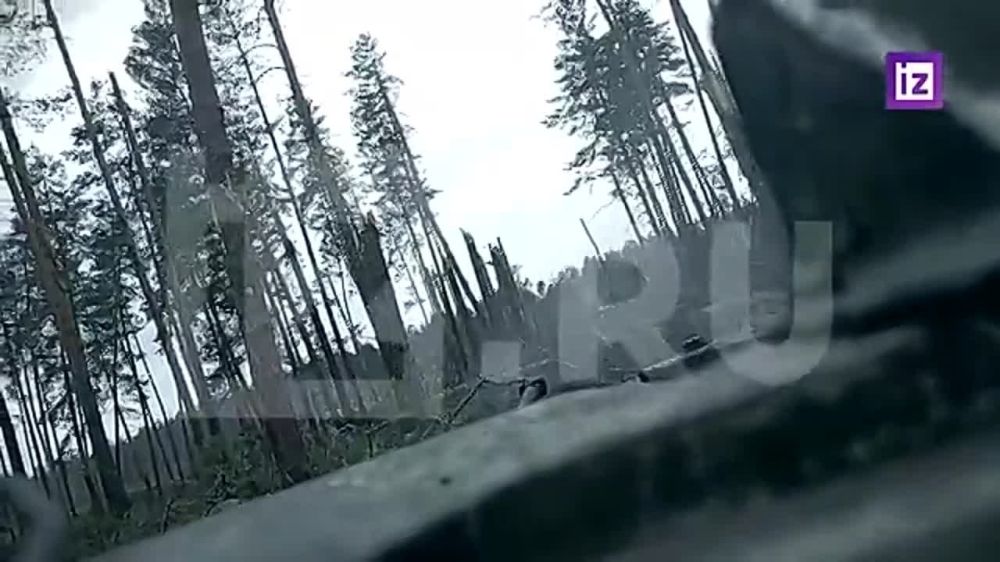 Танкисты совместно с отрядами БМП ликвидировали националистов под Кременной