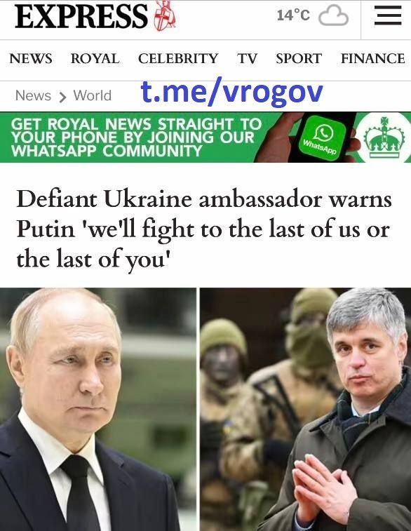 Владимир Рогов: «Мы будем сражаться до последнего украинца!» — посол Зеленского в Британии Вадим Пристайко в интервью Daily Express