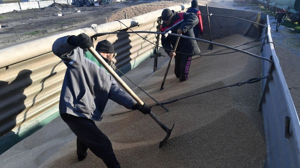 ������� ������ ������������ ������������� � ���������� ����������� �����