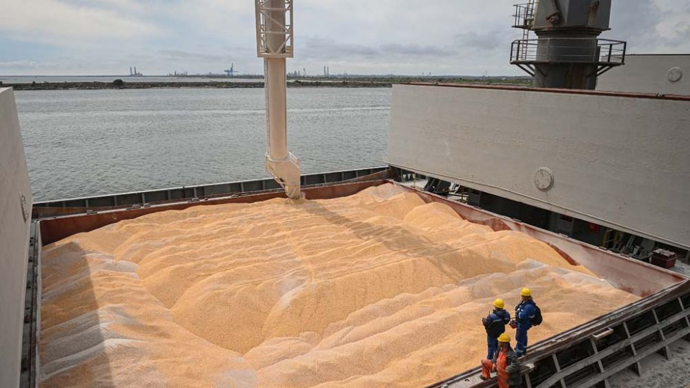 Украина: итоги 17 апреля 2023 года || Украина опасается срыва зерновой сделки