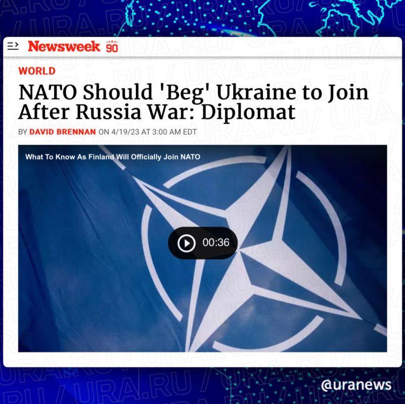 НАТО должно «умолять» Украину и ее «закаленные» вооруженные силы присоединиться к альянсу