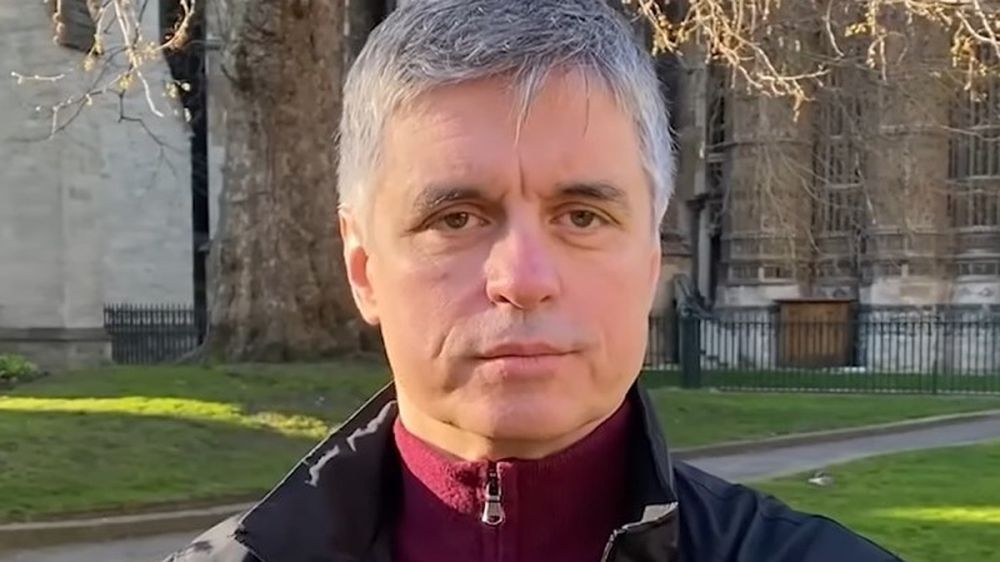 Украинский посол признал успехи России в спецоперации