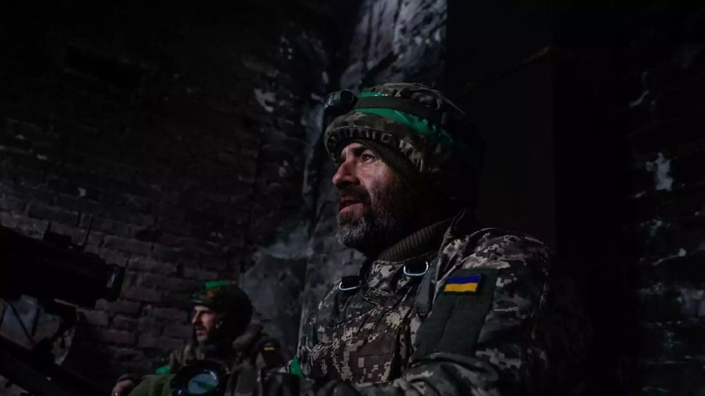 ���� ����� ���������������� � ��������, ������� � ���������� �������