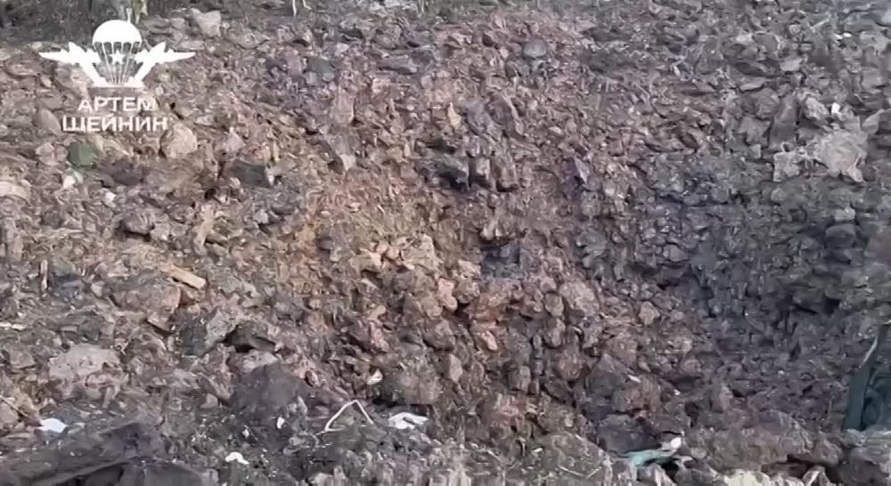 ���� ������: ��������� '��������' �������� ���������..