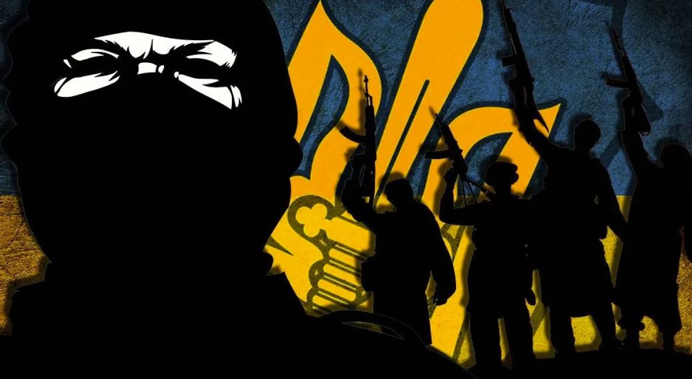 ������ ���������: �������, ������������ ��������������� �� �������, �������� ��� � �� ����, ����� ��� ��� ����� �� ���������