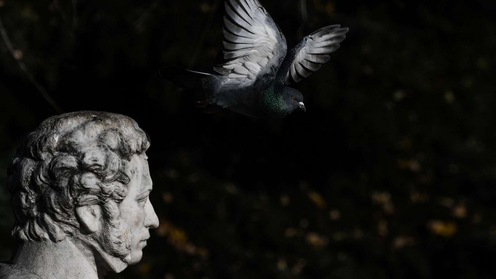 ��� � ����� ������� ����� �������, ����������, ���������� � ��������