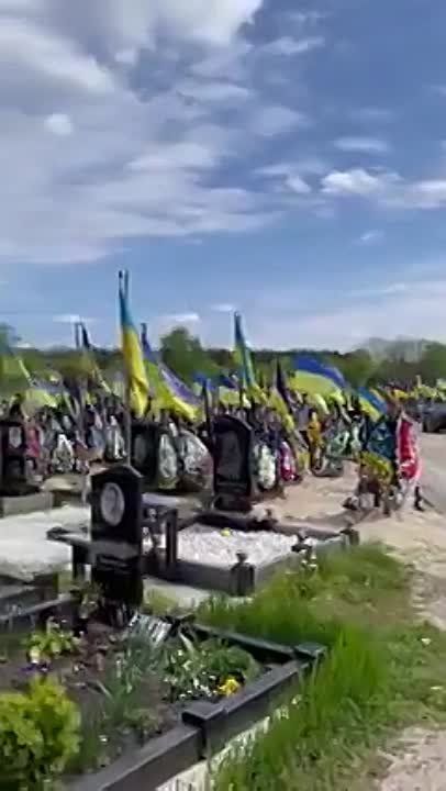 ������� �������: �������� ������ 14 �� ��� ����� ������� �� �������� � �������� �������