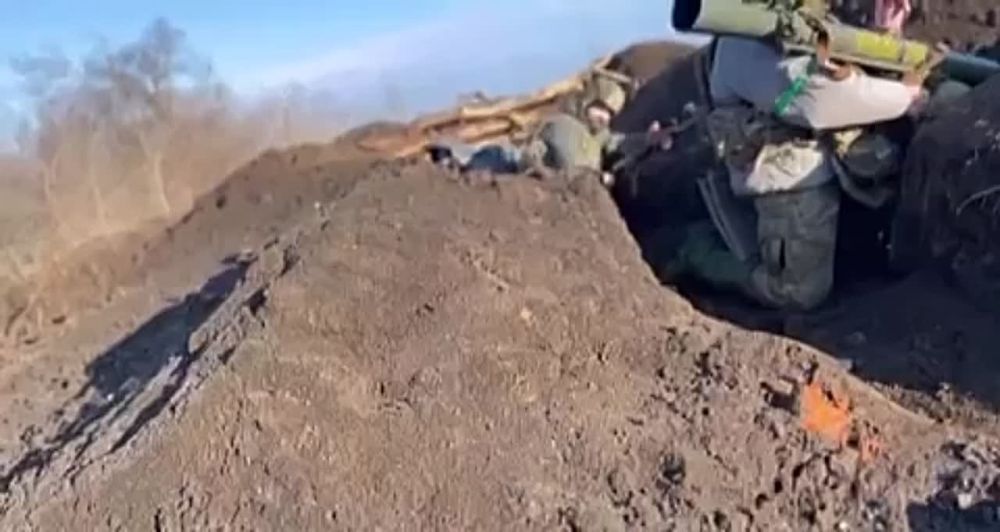 ������ �������� ����� ��������� ���� ��������� ������ ����������