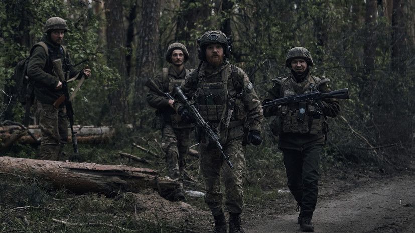 ������ �����: ���������� ������� ���� ������������ �� ������ ��������� �� ������