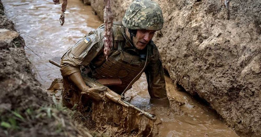 Yeni Safak: ��� ����� ���������� ������� �� "������ ����������"