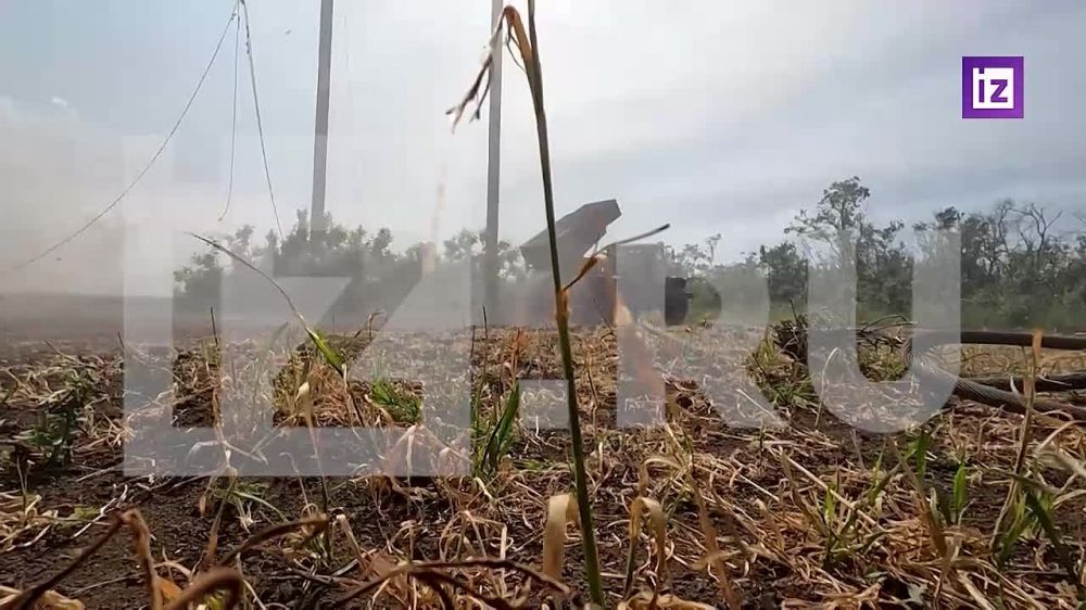 ����� ������ ���������� ������� ��� ����������� �������� ��� �������