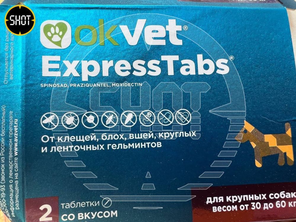 ���� ��� ��� � ����������: ��������� ������������ ������������� ����� ������� ����� ��������� � �������