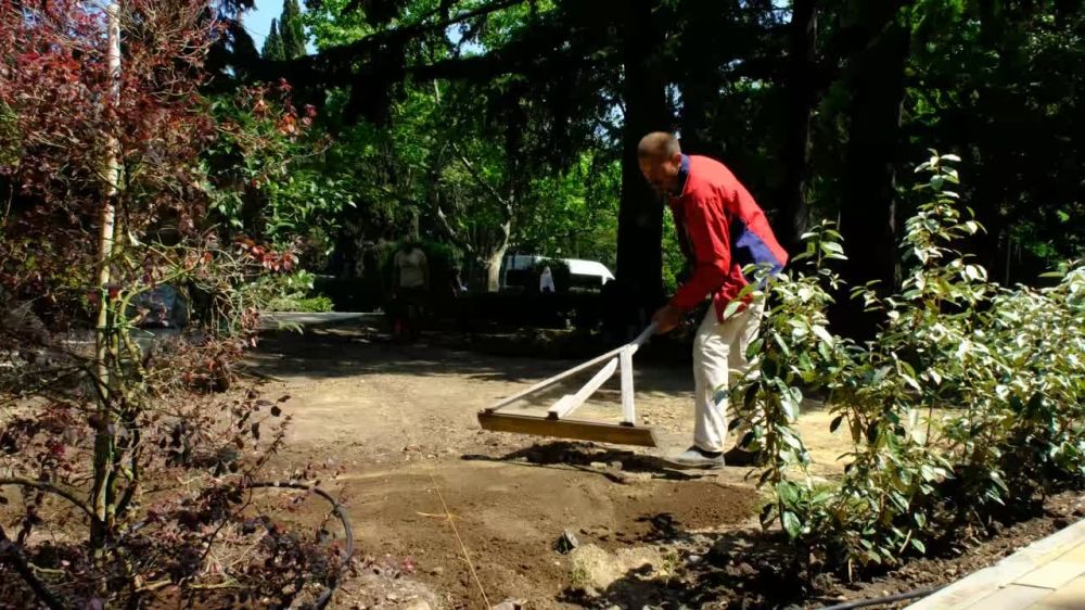 Янина Павленко: Активно озеленяем четыре общественные территории - небольшой сквер на Киевской у домов 18-20, две куртины около МФЦ, благоустроенный ранее сквер Данилевского и въездную группу под флагами