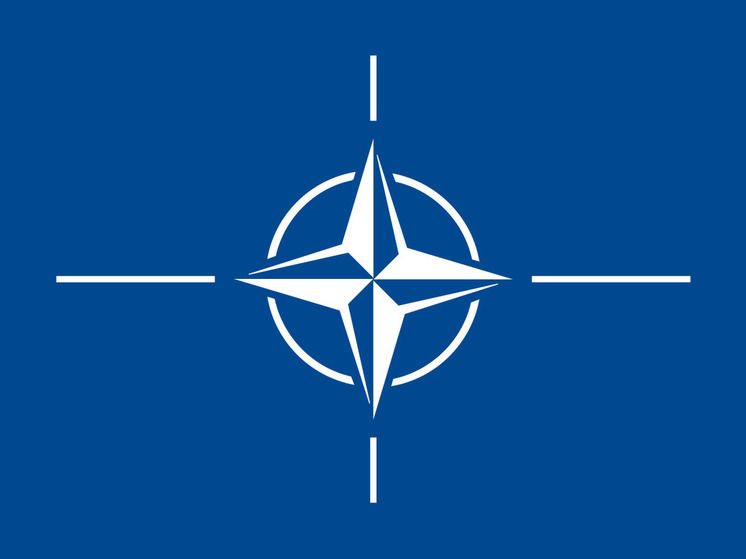 � ������ ���� ���� ��������� ������ ������