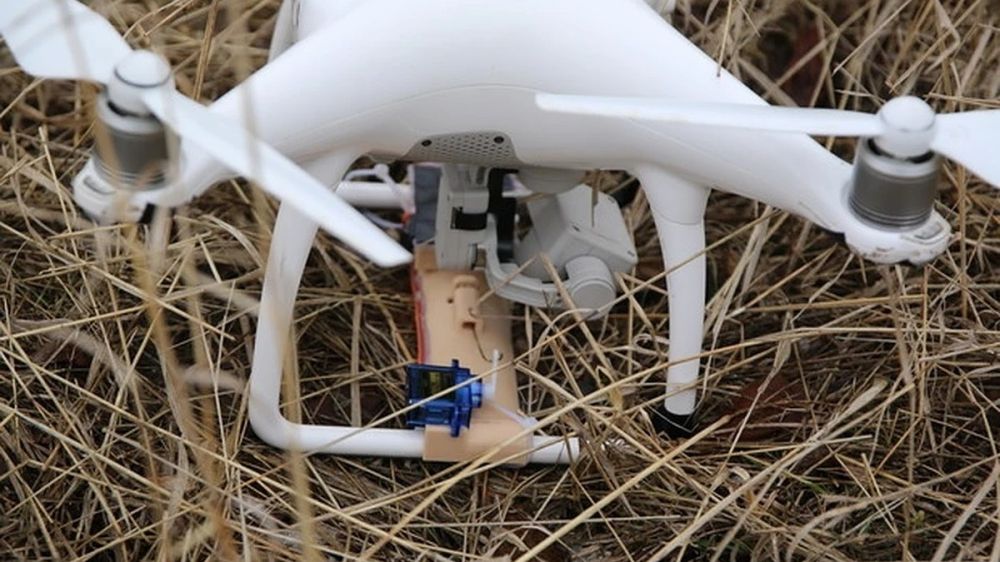 ������� ������� ������, ��� ����� ���������� ������������� ������������ � ������� �� �������� ���