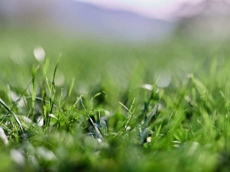 Какой сегодня церковный праздник — 1 июня 2023 года