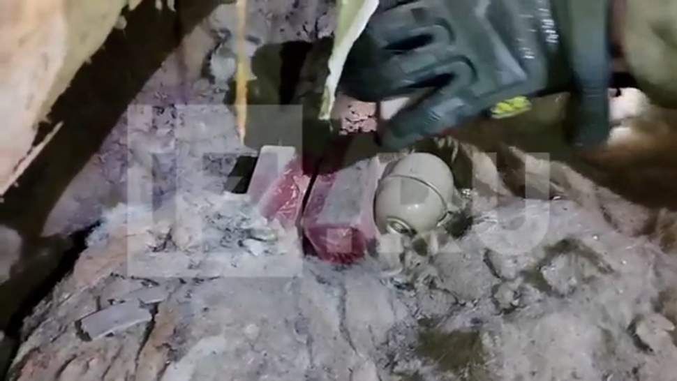 ����� ��������� ������ ������ ����� ������ �� ������ ����������� ���