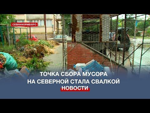 Контейнерная площадка для мусорных баков превратилась в стихийную свалку