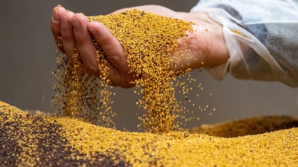 ������� ��������� ��������� ������ ������ �������� ������� ����� �� ������� �����