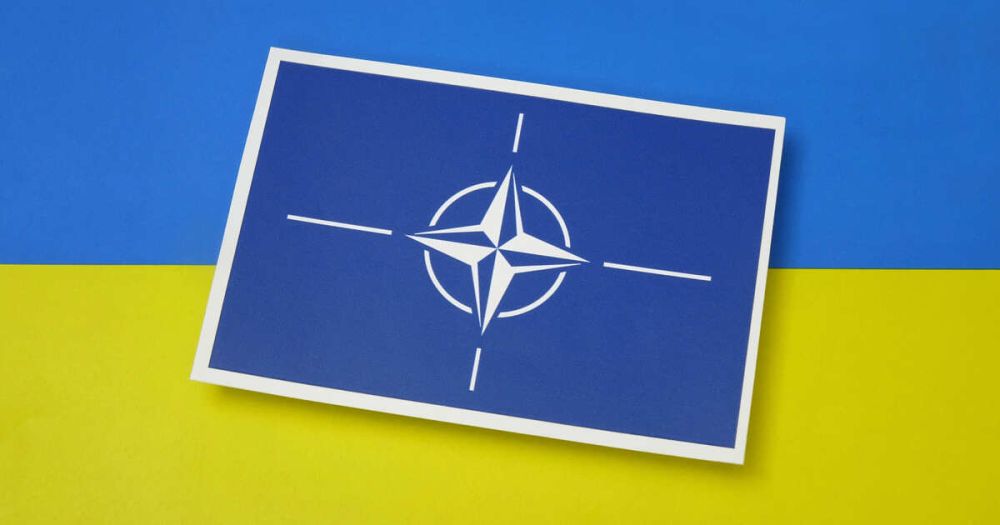 "�������� ���������": � ���� ����� ������� ������ �������������� �����