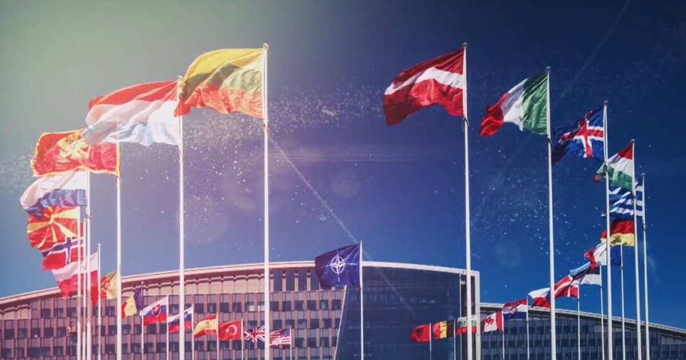 ����� ������ ����� ����� � "����������� ����"