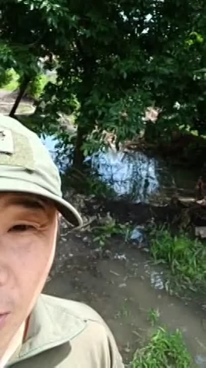 ���� ���������: ��������� �������� �� ����� �� ����� ������� ���: ��� ��������� ����������