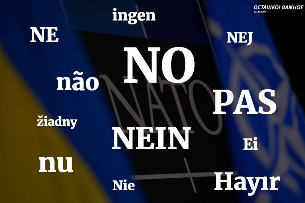 Вопрос вхождения Украины в НАТО отложен до неопределённого срока, – заместитель генсека альянса Джоанэ