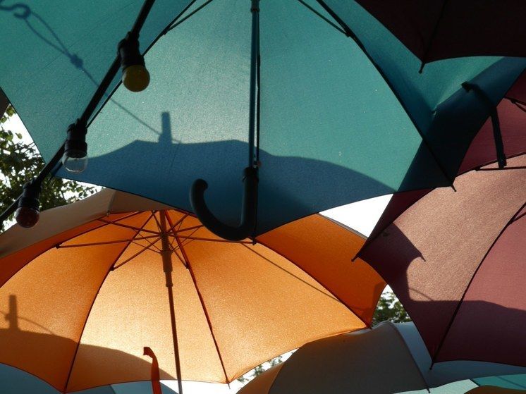 ������� ������ �������, ��� ������� ��������� ��� �������� �������� �����