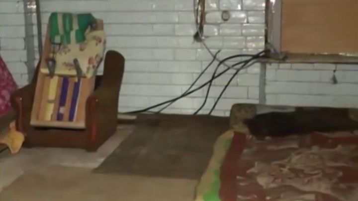 �������� ������ ������ �������� �� �������������