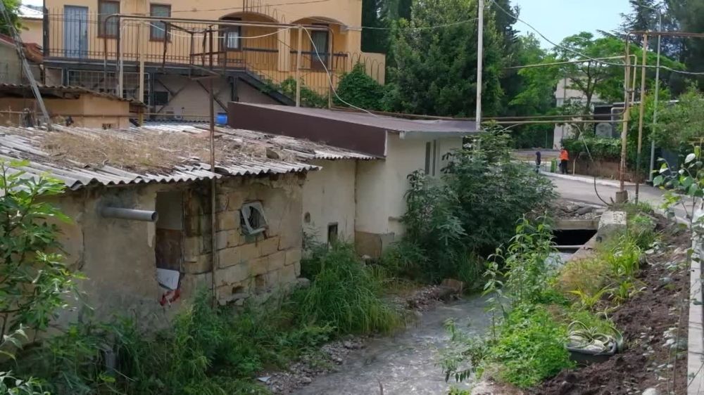 Янина Павленко: Работаем с замами в «полях» - на контроле саночистка региона