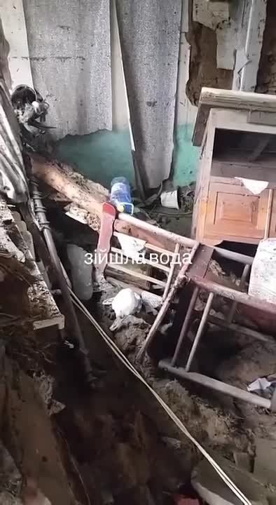 ������ ���������� ����������� ����� ����������� ���������� ����� ����� � ���������� ���������� ��������� ���