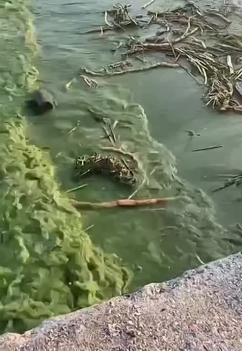 ���� �������: ��� ������ �������� ���� � ������