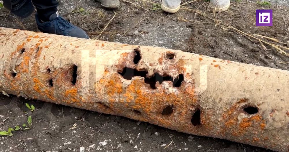 ����� �������� ��������� ������ �� ����������� ���