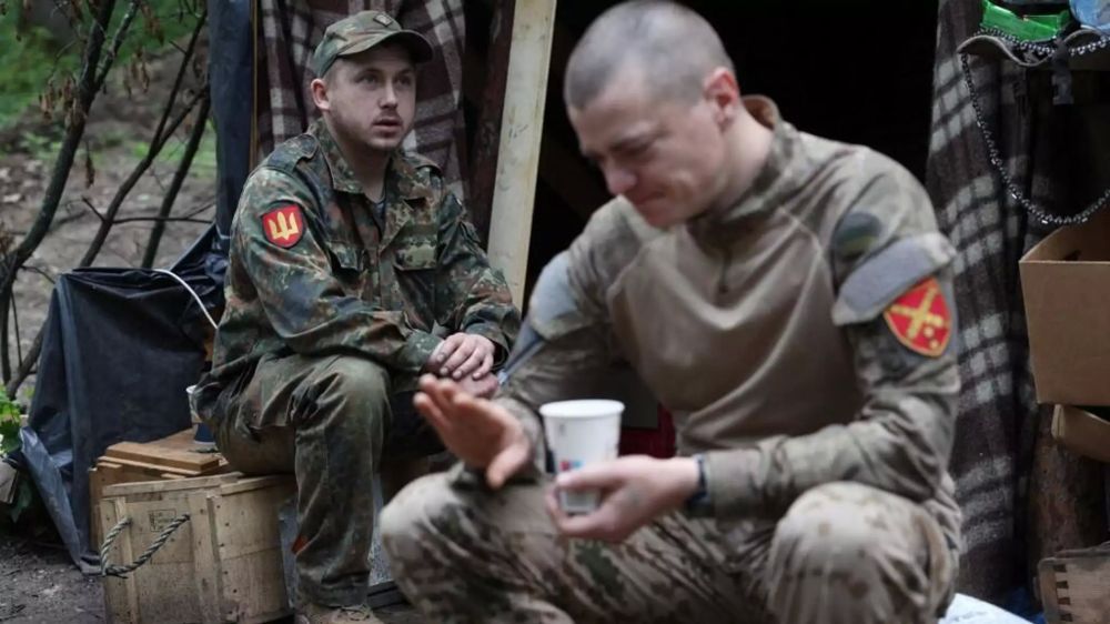 ������ ���� ������������ ����������������