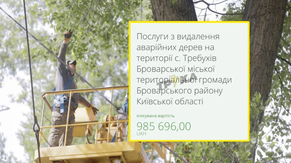 Дорогие наши, подписчики