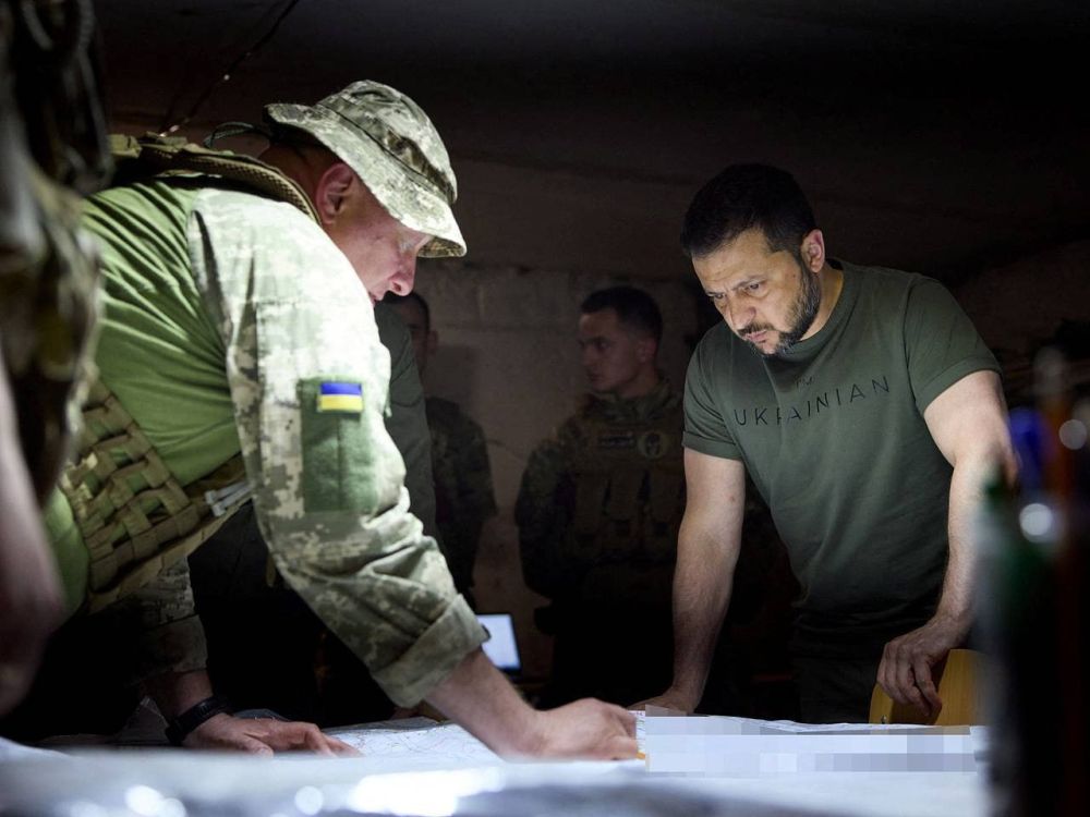 29 ���� �����. �������