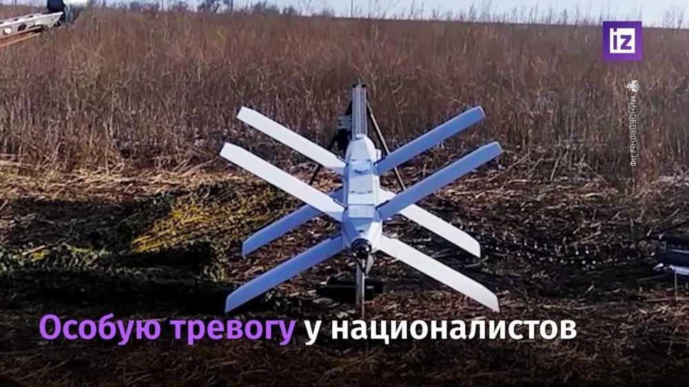 ��� ����� ��������� � �������, ������� �� ������� �������� � ����������� ���� "������", ������ �������� �������� ������� ������� ���� ��� � �������� The Daily Telegraph