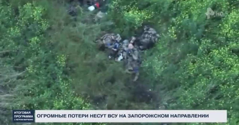 ������� ������������: ���� ������ ����� ����� ������ �� �������� �����