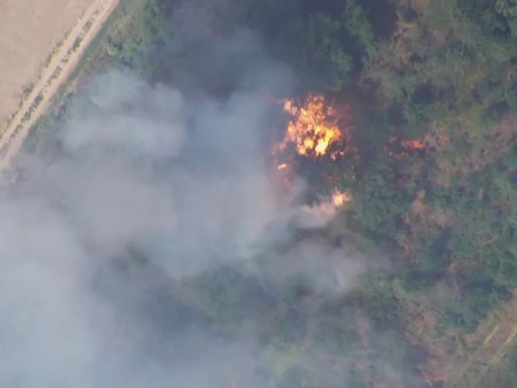 ����� ������������������: ������� ������� ������ ���