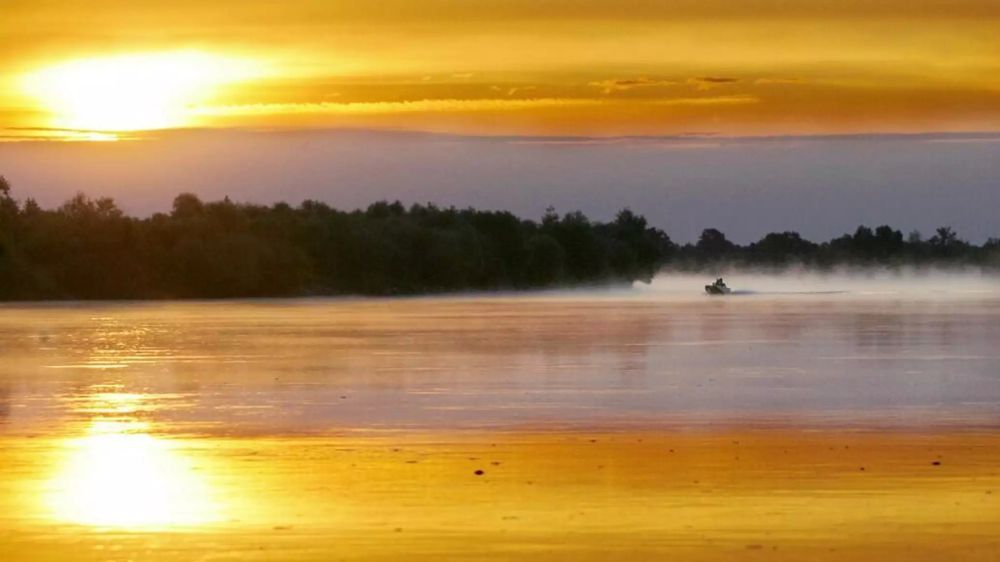 "���� �": ���� �� ����� � ��������� �������� ��� �� ����� ������ ������